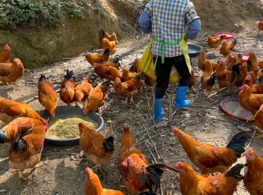 微信截圖_20250212102648.jpg 微信截圖_20250212102648.jpg