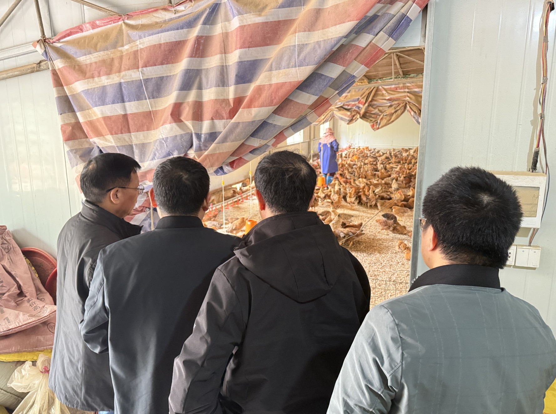 南寧市糖業(yè)局領(lǐng)導(dǎo)調(diào)研3.jpg