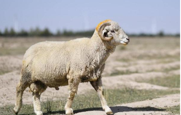 QQ圖片20250217141420.png QQ圖片20250217141420.png