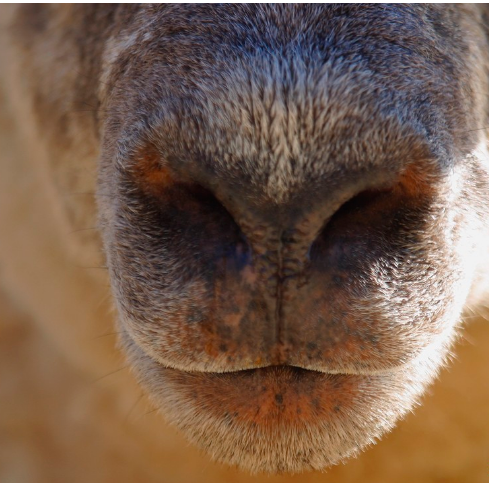 QQ圖片20250217140947.png QQ圖片20250217140947.png