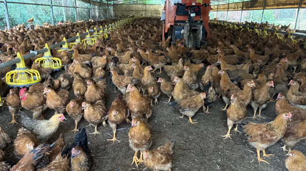 1740385288887 - 副本.png