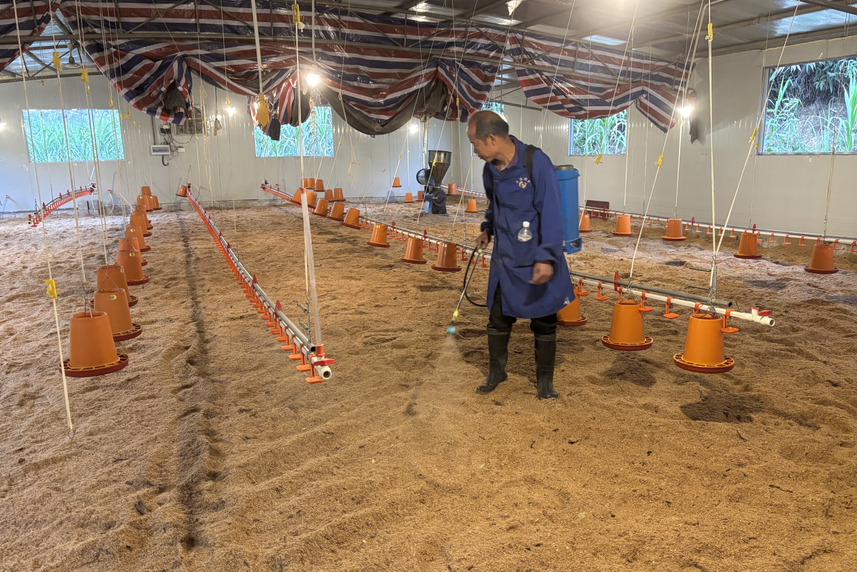 17358054458901884.png 17358054458901884.png