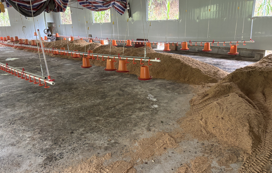 QQ圖片20250226113415.png QQ圖片20250226113415.png