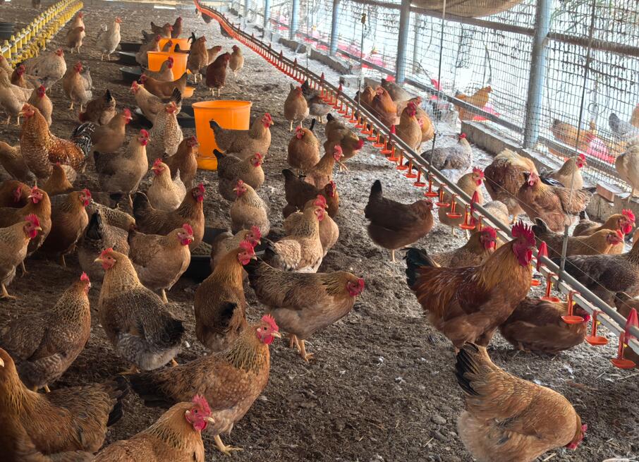 QQ圖片20250226124554.jpg QQ圖片20250226124554.jpg