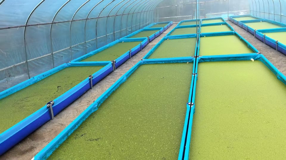 17348206759406431.jpg 17348206759406431.jpg