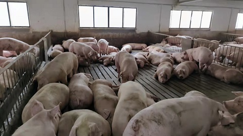 微信圖片_20230830105925.jpg 微信圖片_20230830105925.jpg