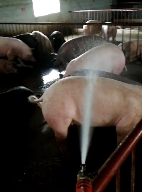 QQ圖片20230720113538.jpg QQ圖片20230720113538.jpg