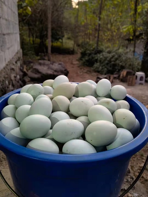 微信圖片_20230710151127.jpg 微信圖片_20230710151127.jpg