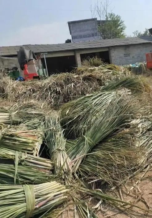 QQ圖片20250227150059.jpg QQ圖片20250227150059.jpg