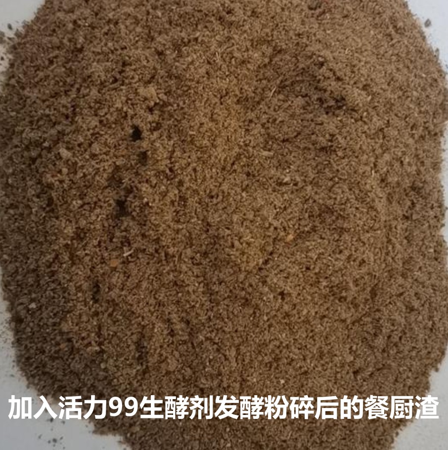加入活力99生酵劑發酵粉碎后的餐廚渣.jpg 加入活力99生酵劑發酵粉碎后的餐廚渣.jpg