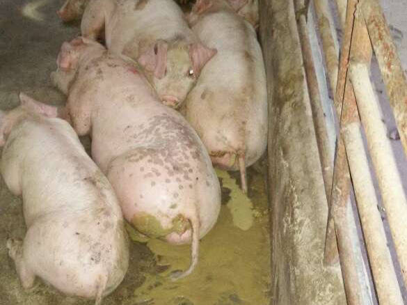 微信圖片_20250305112101.jpg 微信圖片_20250305112101.jpg