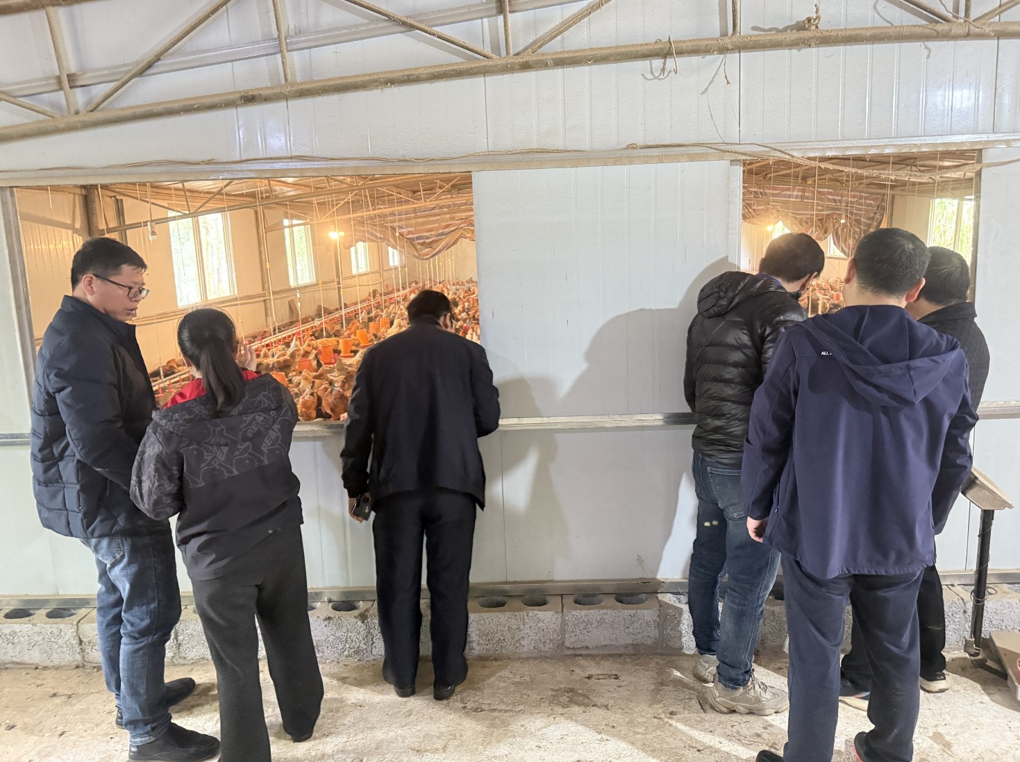 金陵農牧集團前來調研3.jpg 金陵農牧集團前來調研3.jpg