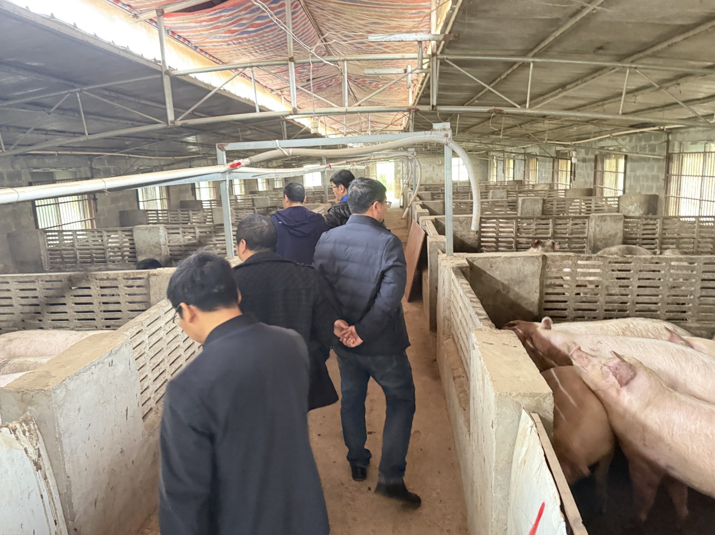 金陵農牧集團前來調研6.jpg 金陵農牧集團前來調研6.jpg