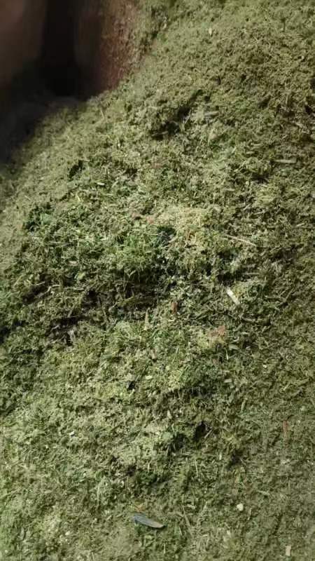 微信圖片_20231229103111.jpg 微信圖片_20231229103111.jpg