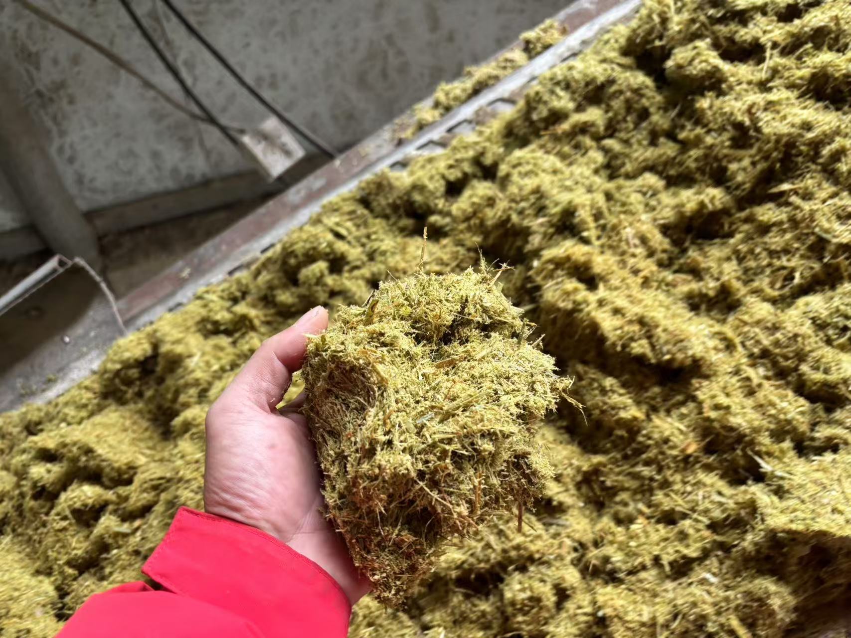 發酵牧草2.jpg 發酵牧草2.jpg