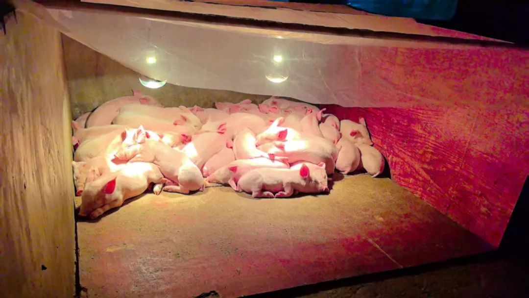 1742263224141.jpg 1742263224141.jpg