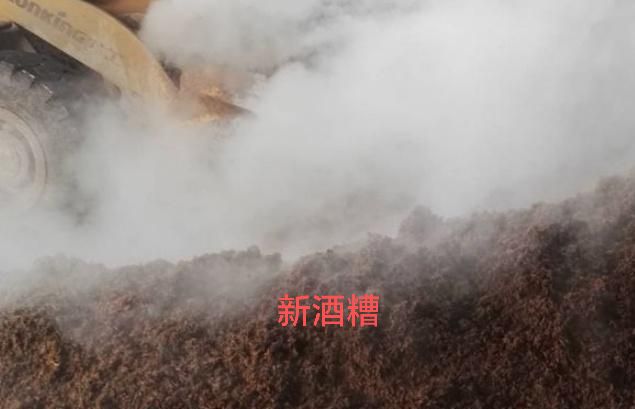 酒糟6.jpg 酒糟6.jpg