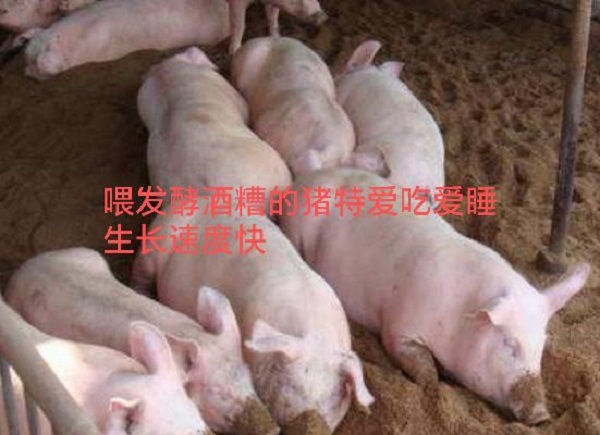 酒糟2.jpg 酒糟2.jpg