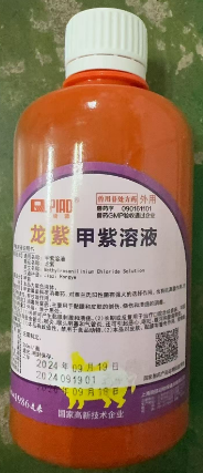 1743132349443.jpg 1743132349443.jpg