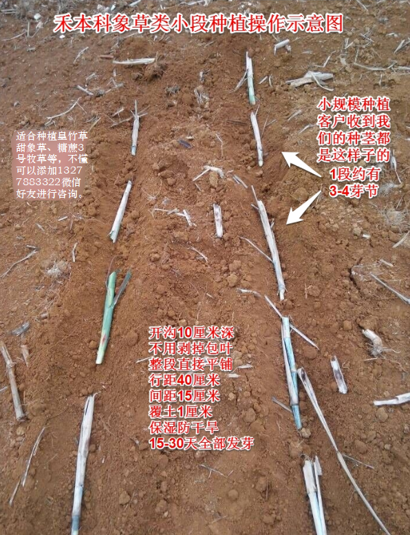 1633764273345631.png 1633764273345631.png