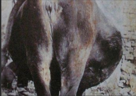 屏幕截圖_11-4-2025_9940_cn.bing.com.jpeg 屏幕截圖_11-4-2025_9940_cn.bing.com.jpeg