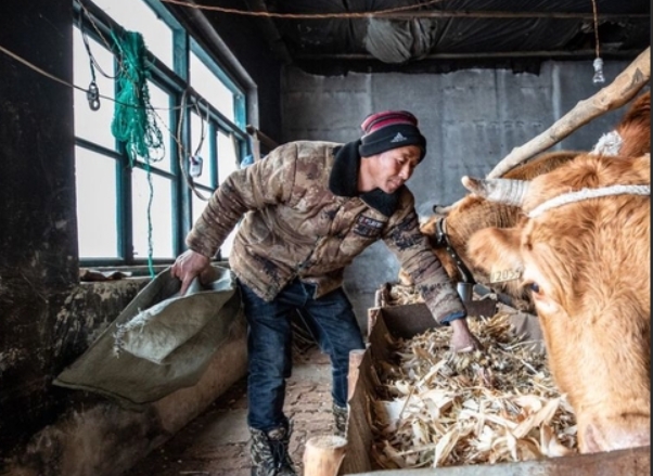 屏幕截圖_14-4-2025_101833_cn.bing.com.jpeg 屏幕截圖_14-4-2025_101833_cn.bing.com.jpeg