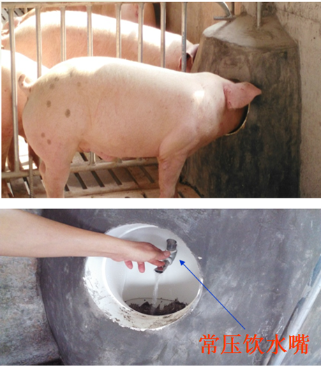 嵌墻式飲水器1.png 嵌墻式飲水器1.png