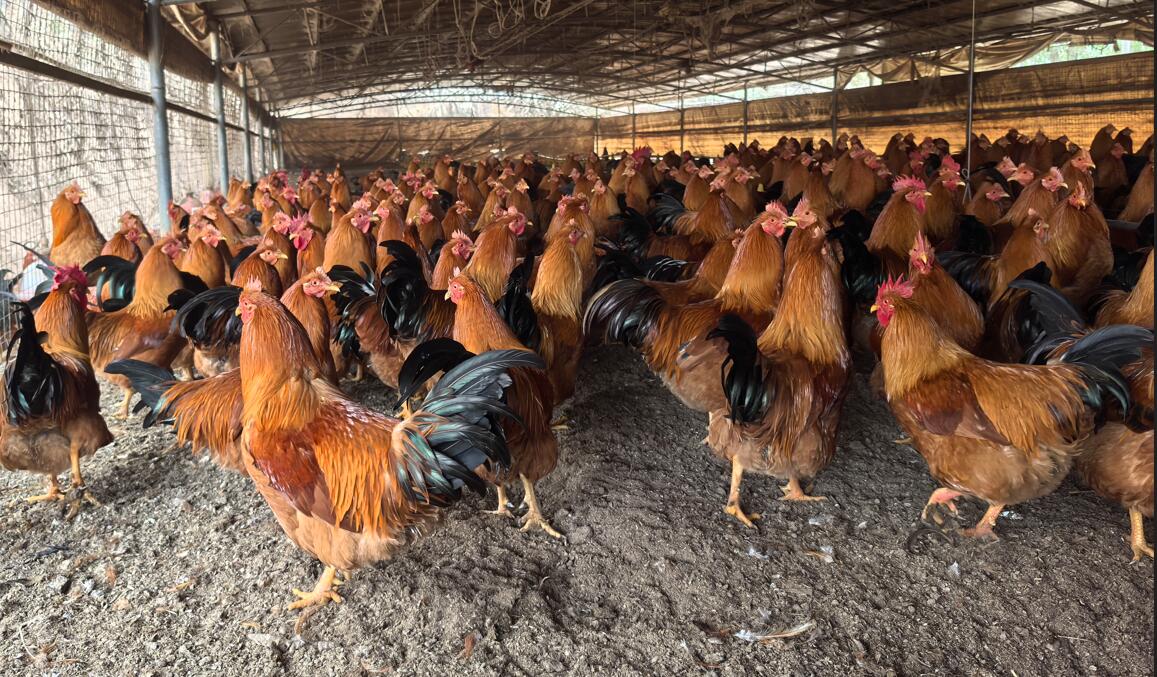 QQ圖片20250226124652.jpg QQ圖片20250226124652.jpg