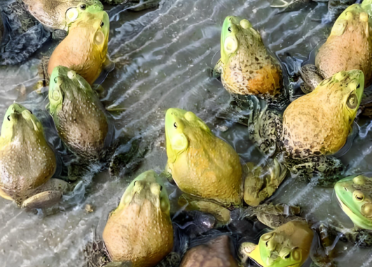 1745568296281.png 1745568296281.png