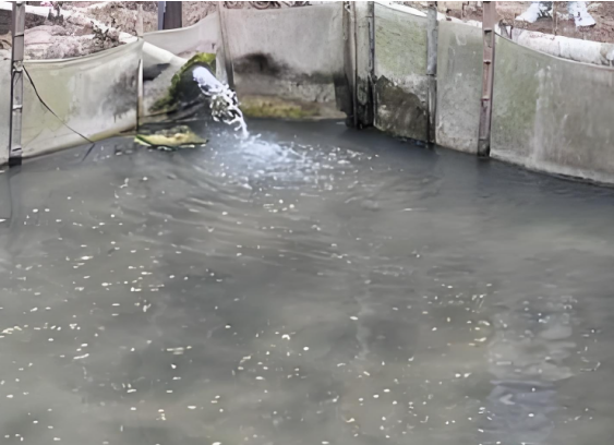 1745568336202.png 1745568336202.png