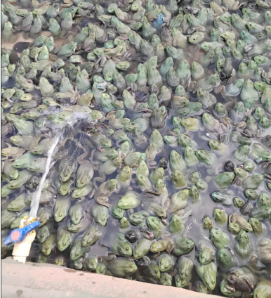 1745568510893.png 1745568510893.png