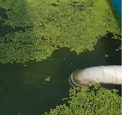 1745568589842.png 1745568589842.png