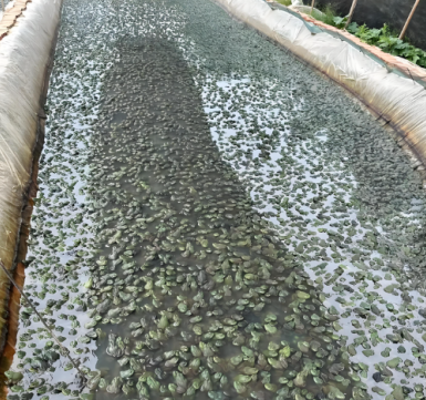 1745568615311.png 1745568615311.png