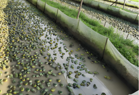 1745568697269.png 1745568697269.png