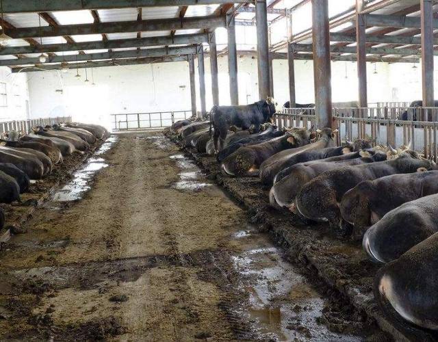 微信圖片_20250506211036.jpg 微信圖片_20250506211036.jpg