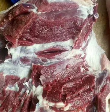 QQ圖片20250325100953.jpg QQ圖片20250325100953.jpg