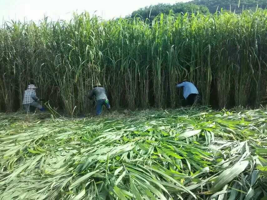 QQ圖片20250508122946.png QQ圖片20250508122946.png