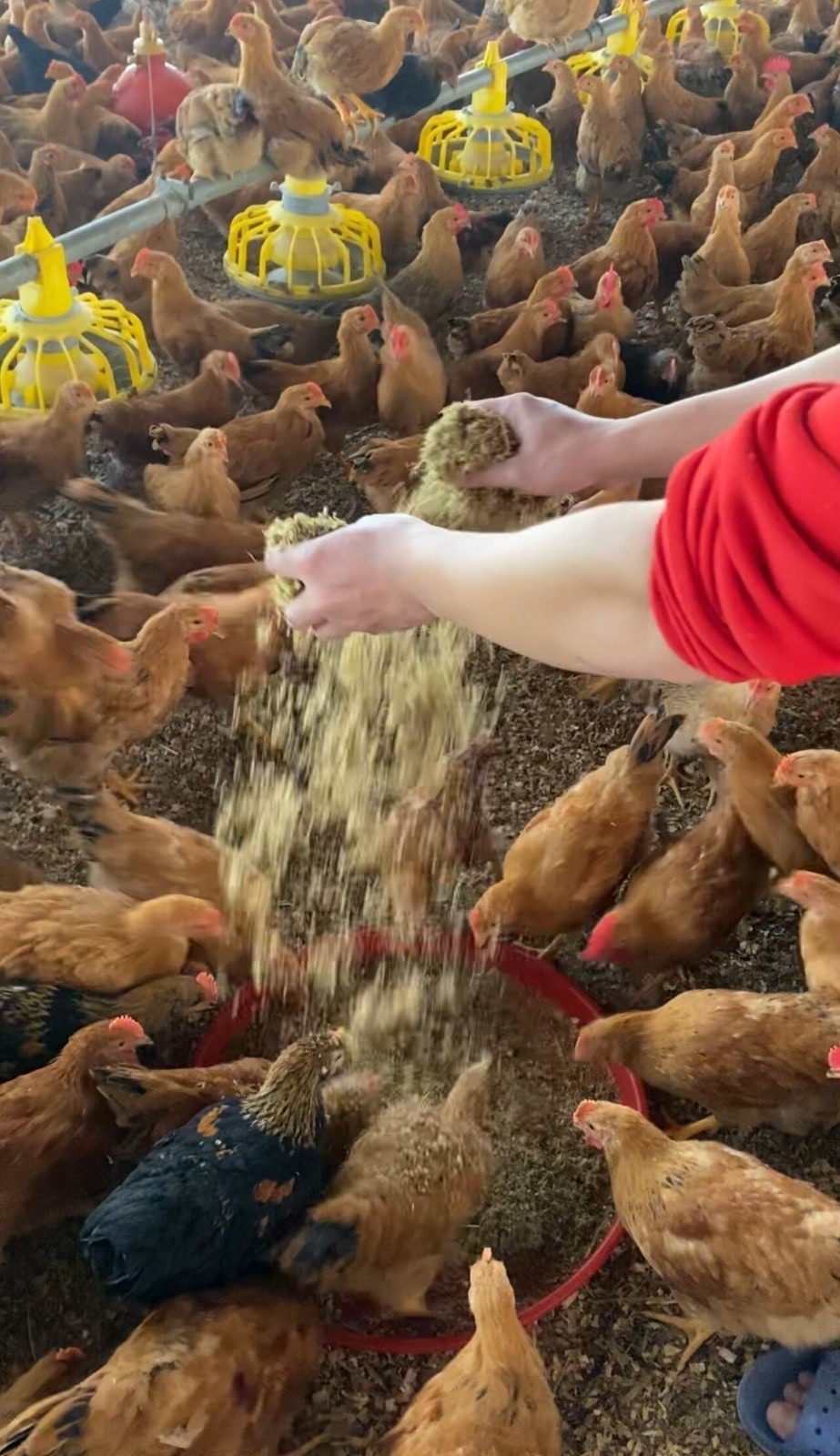 17352683247325071.jpg 17352683247325071.jpg