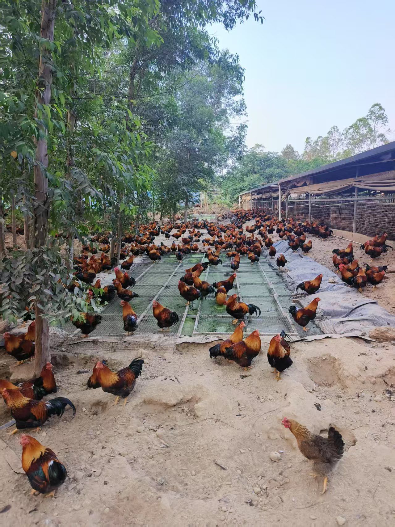 QQ圖片20250509123321.jpg QQ圖片20250509123321.jpg