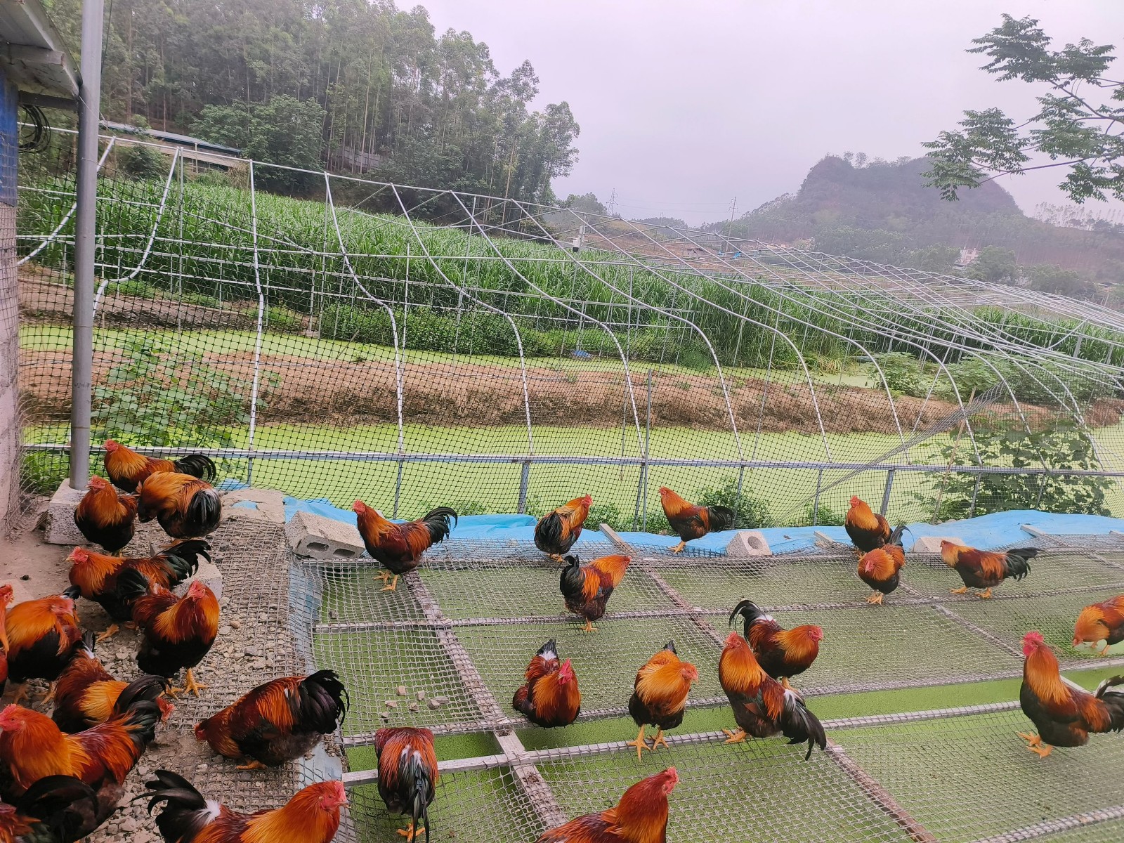 QQ圖片20250509123241.jpg QQ圖片20250509123241.jpg