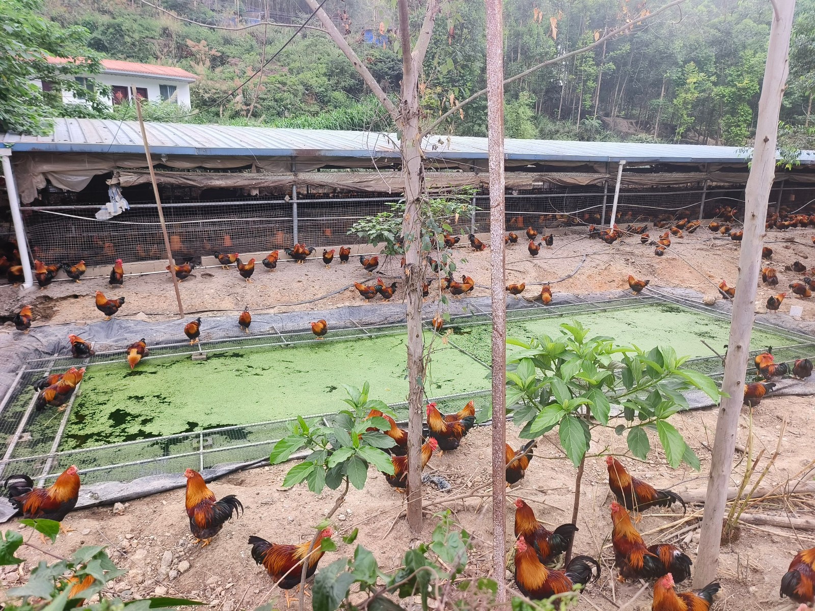 QQ圖片20250509123305.jpg QQ圖片20250509123305.jpg