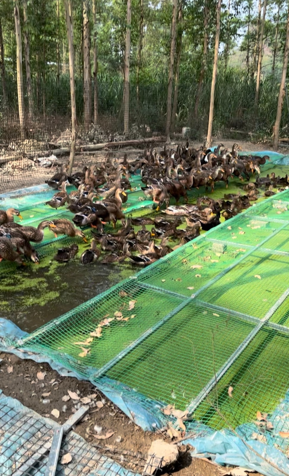 微信圖片_20250509220744.jpg 微信圖片_20250509220744.jpg