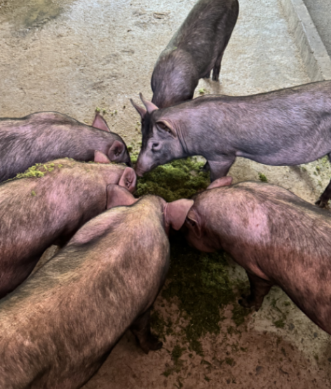 QQ圖片20250311160244.png QQ圖片20250311160244.png