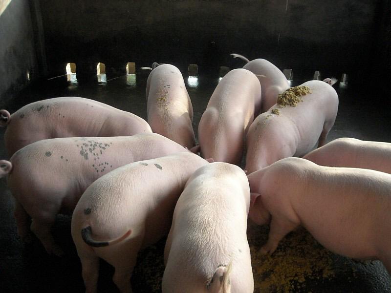 QQ圖片20250522111230.jpg QQ圖片20250522111230.jpg