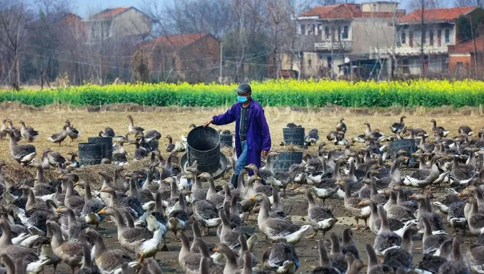 QQ圖片20230303123437.png QQ圖片20230303123437.png