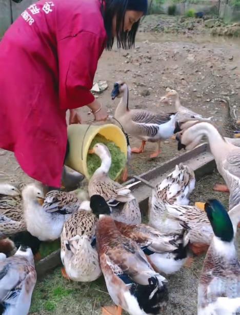 QQ圖片20250523091259.jpg QQ圖片20250523091259.jpg