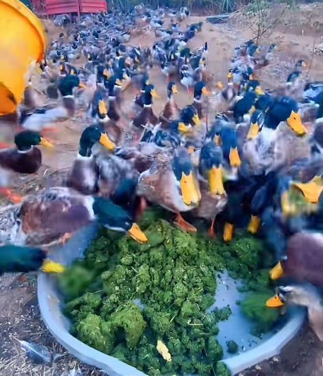 QQ圖片20250523091245.jpg QQ圖片20250523091245.jpg