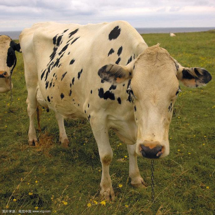 cbdf300e-4c99-45a8-b959-cf68fc203653_1748308237794389981_origin~tplv-a9rns2rl98-image-qvalue.jpeg cbdf300e-4c99-45a8-b959-cf68fc203653_1748308237794389981_origin~tplv-a9rns2rl98-image-qvalue.jpeg