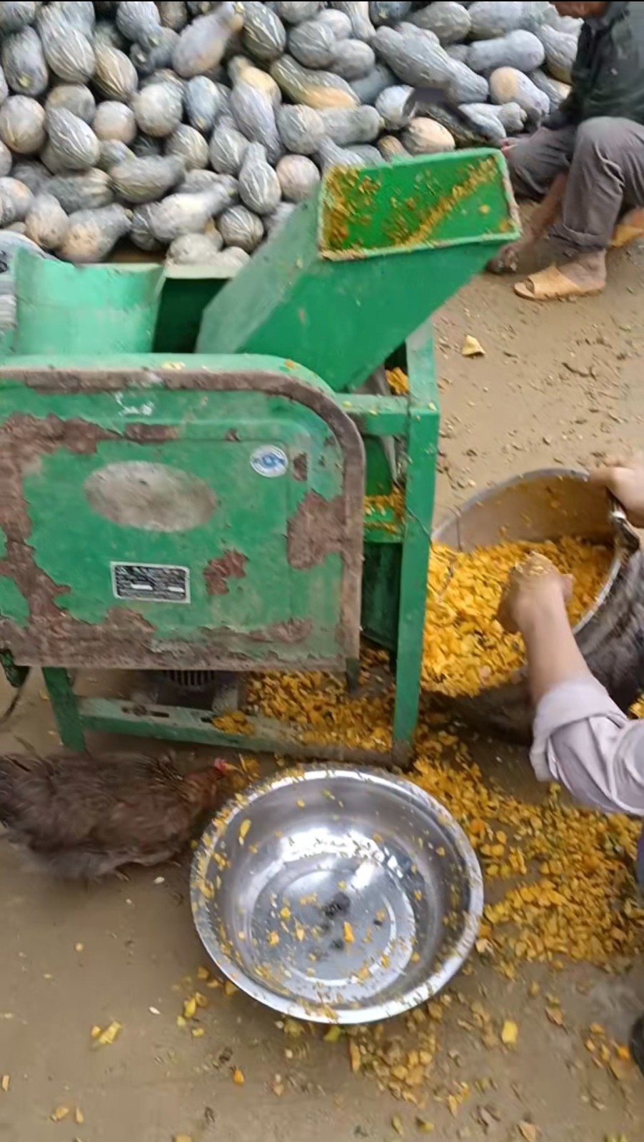 微信圖片_20250527151823.jpg 微信圖片_20250527151823.jpg