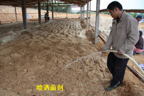 QQ圖片20250226123704.png QQ圖片20250226123704.png